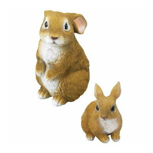 ̃I[ig2_Zbg SV-5868E5967(s)y|Cg10{zyz