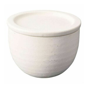 �M�y�� Hangout ���C�X�R���e�i1P Hg-7w �z���C�g(����s��)�y�|�C���g10�{�z�y���������z