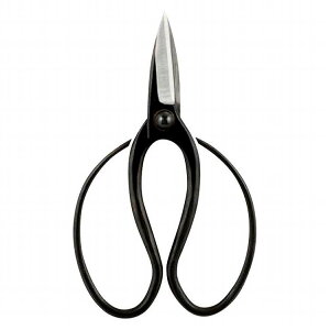 @ A GS-80D(s)y|Cg10{zyz