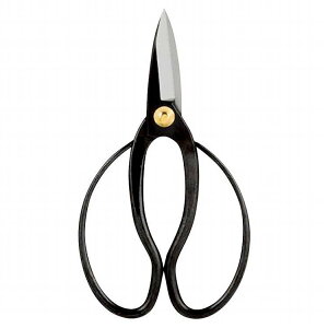 @ A GS-100G(s)y|Cg10{zyz