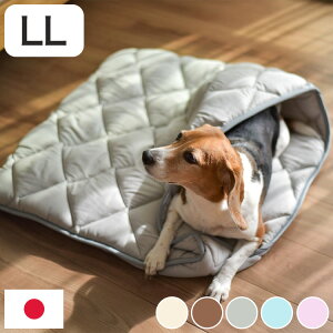 􂦂ybgp~zc pJo[ GA[AX[g ̍\fގgp LL 125×95cm ybg}bgX ʋC  􂦂 ې   ybg}bg ybg ~zc d d(