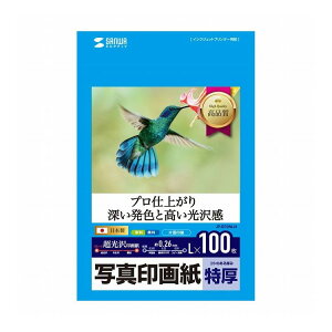 �C���N�W�F�b�g�ʐ^��掆 ���� JP-EP2NLN(����s��)�y���������z