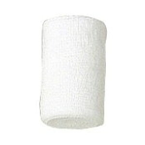 �G���z���C�g-S 4�� 034 9.0CMX9M 10�J���y�|�C���g10�{�z�y���������z