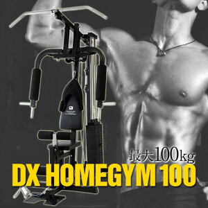 【公式販売店】ファイティングロードDXホームジム100ベンチプレストレーニングマシントレーニング器具マルチジム筋トレ器具レッグエクステンションラットプル筋トレマシン【ポイント10倍】【送料無料】