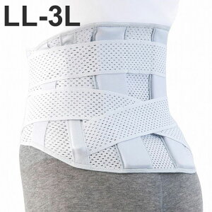 At@bNX ҂̃v~AChRZbg LL-3L 204039yz