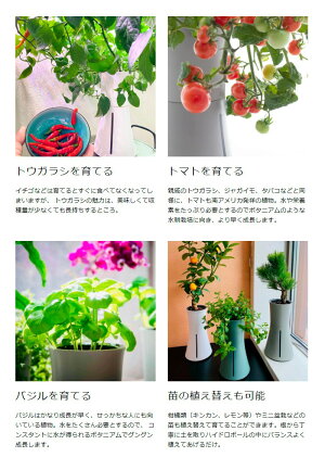 楽天市場 スマート水耕栽培キット ボタニアム 野菜 華 花 植物 飼育 部屋 家 料理 育てる 栽培 花瓶 植木 植木鉢 おしゃれ スマート 送料無料 リコメン堂