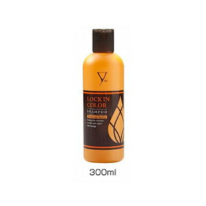 �t�@�C�e��(PHITEN) LOCK IN COLOR �V�����v�[300ml HSH91001�y���������z