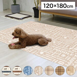 ybg}bg120x180cm  L  h L ȒP 􂦂 ybgp ~ }bg h~ h rj[ PVC}bg h~ `FbN ؖ 킢  {(s)y