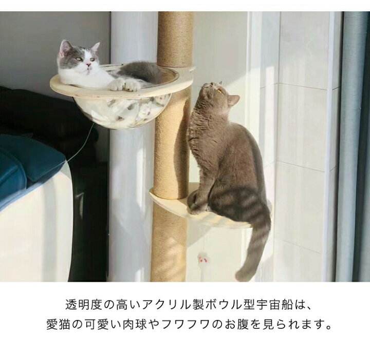楽天市場】クリアボウル キャットタワー用 追加パーツ キャットツリー 
