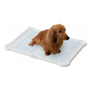 ACXI[} V[c҂ƃg[ Ch zCg P-SPTW IRIS OHYAMAyz