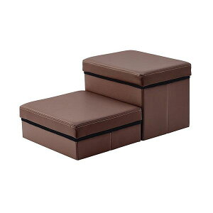 ACXI[} ybgXebv uE P-STP IRIS OHYAMAyz