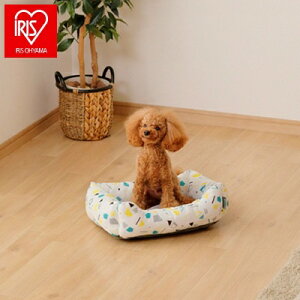 ACX ybgpN[\t@xbh p^STCY PCSB-22S ACXI[} IRIS OHYAMA(s)yz