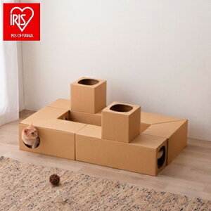 ACX ˂˂gl glZbg P-NTT ACXI[} IRIS OHYAMA(s)yz