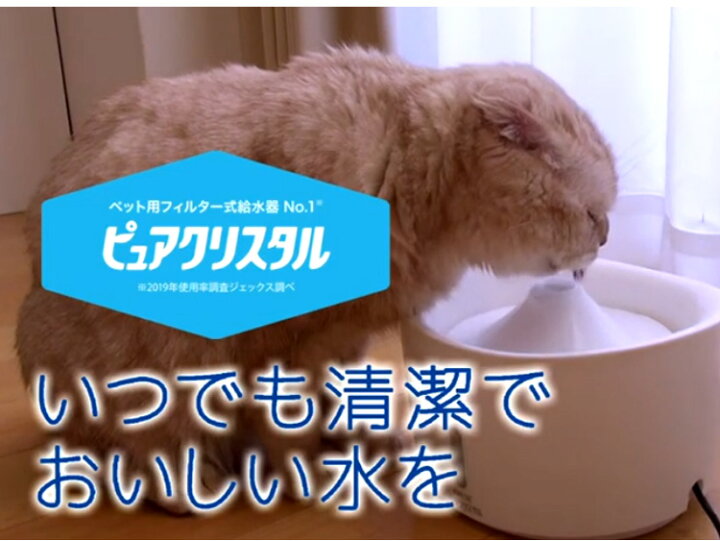 楽天市場 ジェックス ピュアクリスタル 1 5l 猫用 ホワイト Gex 給水器 フィルター式 自動給水器 ペット用 ねこ 送料無料 リコメン堂ビューティー館