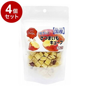 y4Zbgz G[Xv_Nc TNbƂ܂L[u 50gyz