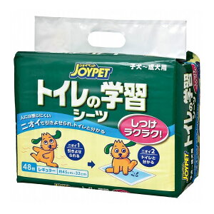 A[Xybg gC̊wKV[c M[ 48