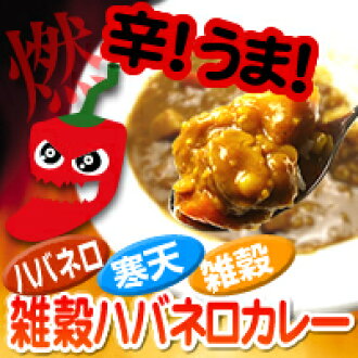 rcmdbe rakuten global market the popular curry of the diet food