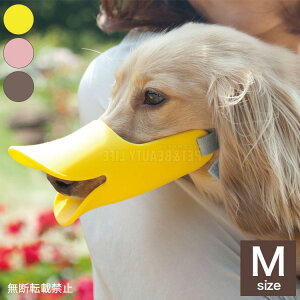 OPPO Ib| quack M N@bN th~ ݂h~ EHh~ VR  p p ʗpyz