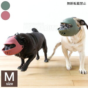 OPPO Ib| quack face N@bN tFCX th~ ݂h~ EHh~ VR  p p ʗpyz
