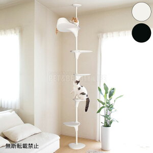 yr[񍐂ŃXChbNz OPPO Ib| LbgtHXg Lbg^[ 227cm`270cm CatForest 2 X ˂ ς Lbgc[ L^[ Lc[  Lp 