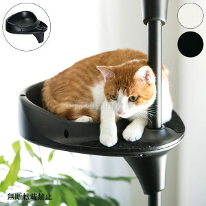 OPPO Ib| LbgtHXg IvV oPbgVFt BucketShelf Lbg^[ L^[ Xyz