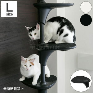 OPPO Ib| LbgtHXg IvV XebvVFt StepShelf-L Lbg^[ L^[ Xyz