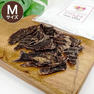 DOG'S TABLE PLUS hbOXe[uvX Y r[tW[L[ MTCY  W[L[ p ybgp  g[cy|Cg10{z