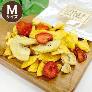 DOG'S TABLE PLUS hbOXe[uvX ʕ~bNX`bvX MTCY p ybgp  g[cy|Cg10{z