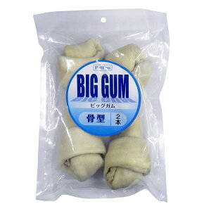 ybgv BIGK ^ 2{ p   XibN K ^ 傫