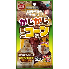 マルカン かじかじミニコーン 2本+おまけ1本