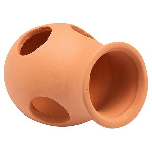 WFbNX ifẲBƂڃ~j