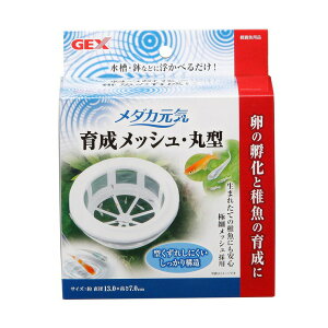 WFbNX _JC 琬bV ی^ ybgpi Mы ANAEpi pi