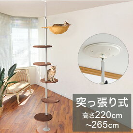 ボンビアルコン キャットポール 突っ張り 高さ220cm~265cm スリム キャットツリー キャットタワー 猫ツリー 猫タワー 猫用 ハンモック付 運動不足解消 ボンビ【送料無料】