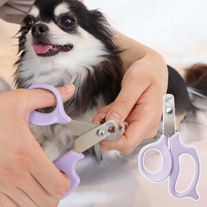 AO[h ₳pܐ؂ More grade   Ck hbO DOG  L ˂ lR Lbg CAT L  Ă eC  L pi pi uVEl؂yz