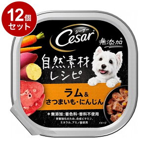 y12Zbgz V[U[ RfރVs &܂Eɂ񂶂 85gyz