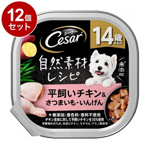 y12Zbgz V[U[ RfރVs 14΂ `L&܂E񂰂 85gyz