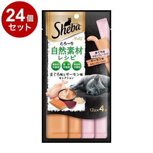 y24Zbgz V[o Ƃ~ eB RfރVs ܂떡T[ZNV t[N 12g×4{yz