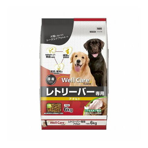 C[X^[ EFPA g[o[p A_g 6kgyz