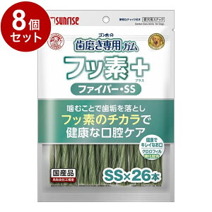 y8Zbgz }J TCY S̎pK tbfvX t@Co[SSTCY NtB 26{yz