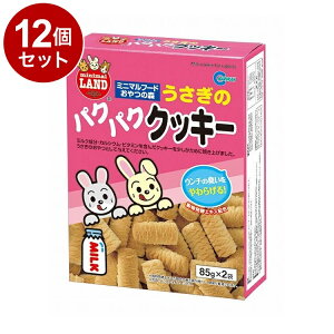 y12Zbgz }J ̃pNpNNbL[ 85g×2܁yz