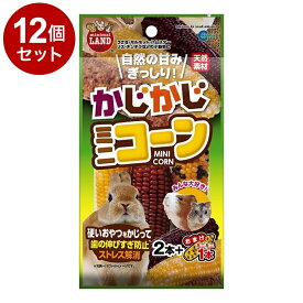 【12個セット】 マルカン かじかじミニコーン 2本+おまけ1本【送料無料】