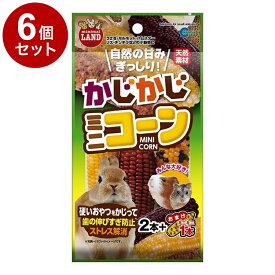 【6個セット】 マルカン かじかじミニコーン 2本+おまけ1本【送料無料】