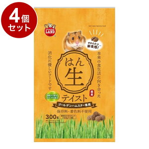 y4Zbgz }J nX^[t[heCXg S[f 300gyz