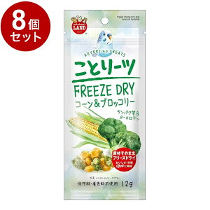 y8Zbgz }J Ƃ[c R[&ubR[ 12gyz