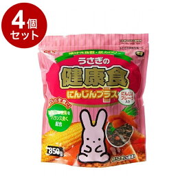 【4個セット】 GEX ジェックス うさぎの健康食 にんじんプラス 850g【送料無料】