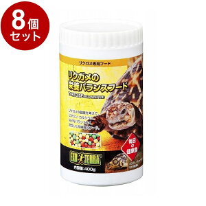 y8Zbgz GEX WFbNX NK̉h{oXt[h400gyz