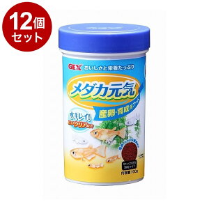 y12Zbgz GEX WFbNX _JC YE琬pt[h 100gyz