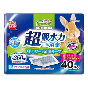 �}���J�� �������̃g�C���V�[�c 40��