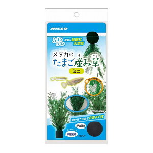 }J jb\[ _Ĵ܂Yݑ ~j