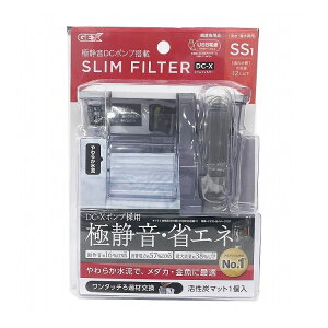 GEX WFbNX XtB^[ DC-X SS1